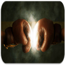 Boxing fighting-APK