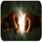 Boxing fighting icon