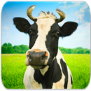 Cow sounds-APK