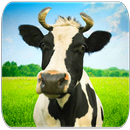 Cow sounds APK