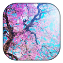 Cherry Blossoms Wallpaper APK