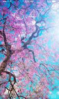 Cherry Blossoms Wallpaper Affiche