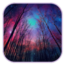 Photography Wallpaper APK