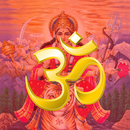 All Gods Mantras & Bhajans APK