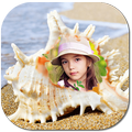 Seashell Photo Frames 2018