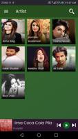Pakistani Singers Songs MP3 | Offline โปสเตอร์