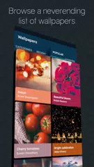 Baixar Papéis de Parede HD - Papel de parede para celular APK