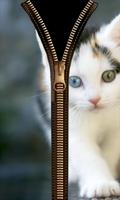 Cat Lock Screen Zipper Affiche