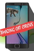 Cat In Phone- Cat walking On Screen Prank 2017 poster