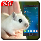 Mouse On Screen Scary Joke Prank- Mouse Run 2017 icône