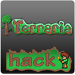 Guide For Terraria coins