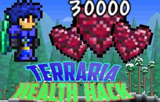 Guide For Terraria coins Affiche