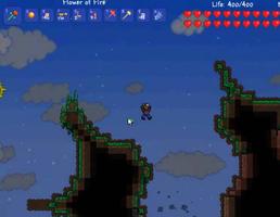 Guide For Terraria coins screenshot 1