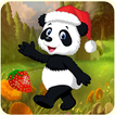 Panda Run adventure
