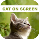 Funny Cat Walks On Phone Screen: Cute Joke APK