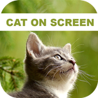 Funny Cat Walks On Phone Screen: Cute Joke иконка
