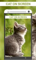 Funny Cat Walks On Phone Screen: Cute Joke скриншот 3
