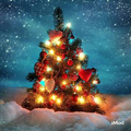 ”Christmas Trees