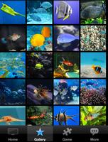 Fish Wallpaper capture d'écran 1