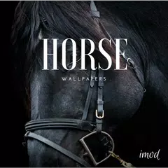 Horse Wallpapers And Backgrounds