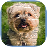 Jeux Puzzle Puppy gratuits icône