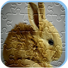 Jeu de puzzle de lapin gratuit icône