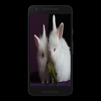 Rabbit Puzzle Game Free screenshot 3