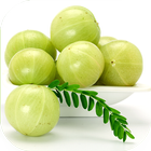 Amazing Benefits of Amla (Indi иконка