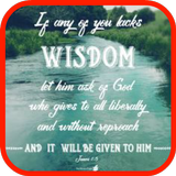 Best Bible Wisdom icon