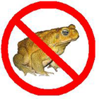 Anti Toad- Frog Prank icône