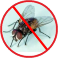 Anti Fly - Fly Repellent Simulator