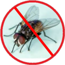 Anti Fly - Fly Repellent Simulator-APK