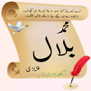 Muhammad Bilal Faizi Pashto Offline Shairi APK
