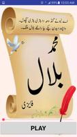 Muhammad Bilal Faizi Pashto Offline Shairi screenshot 1