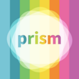 Prism Puzzle