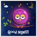 Buenas noches