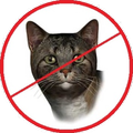 Cat Repellent