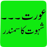 Aurat ik Samander...An Urdu Short Story icon