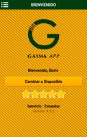 Team Gaima 포스터