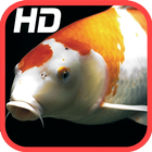 Koi Fish HD Wallpaper ikon