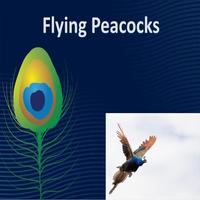 Flying Peacocks Affiche