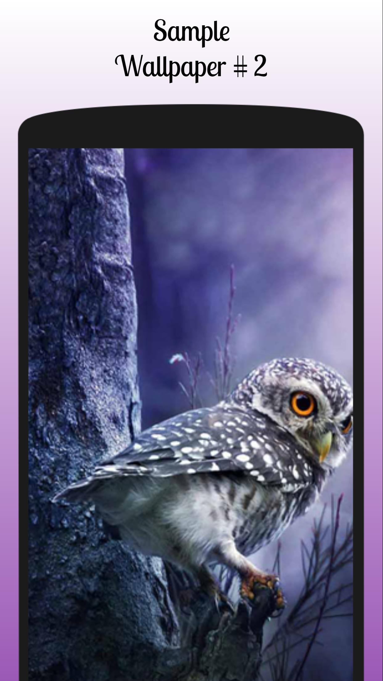 Owl Wallpaper Free For Android Apk Download Owl Wallpaper Free For Android Apk Download