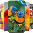 Lovebird Wallpaper Free أيقونة