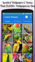 Lovebird Wallpaper Free penulis hantaran