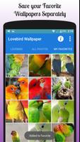 برنامه‌نما Lovebird Wallpaper Free عکس از صفحه