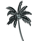 Coconut Steel Fixing icono