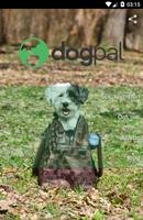 DogPal Affiche