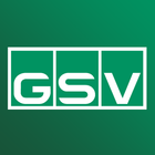 GSV ícone