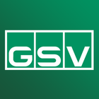 GSV 圖標