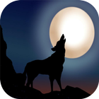 Wolf Adventures icon